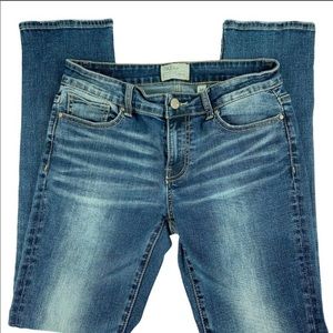 BKE Jeans size 27 Payton straight leg